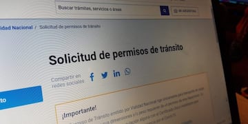 La banda confeccionaba permisos truchos de circulación\u002E (Vía Rosario)