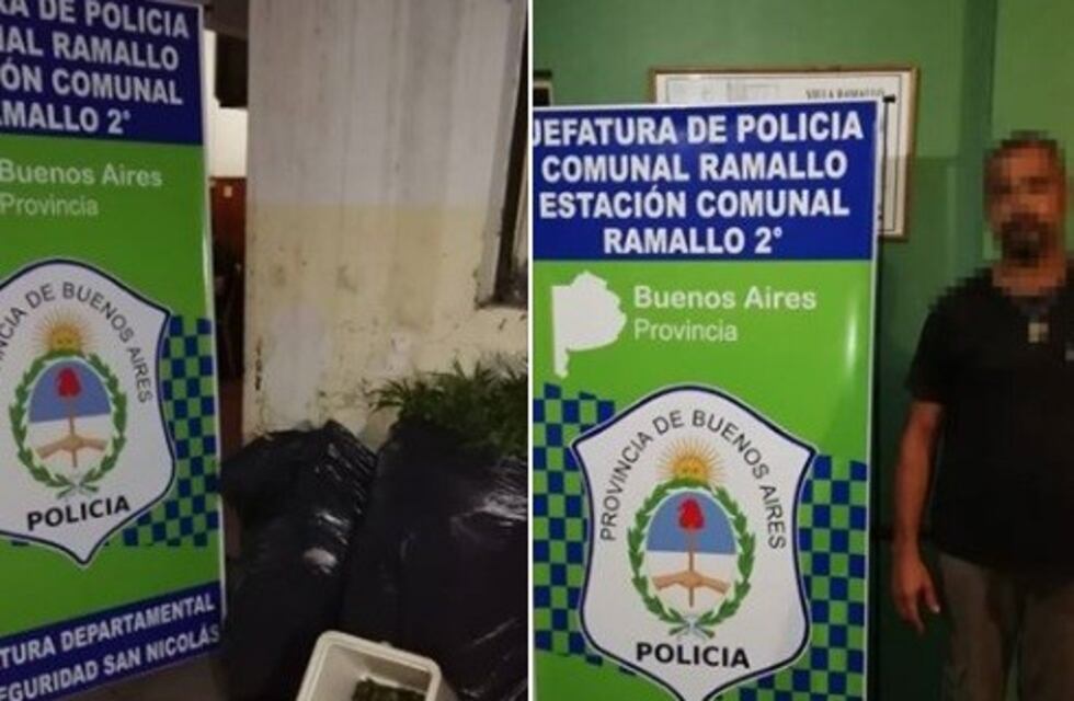 Lo buscaban por robo pero encontraron plantas de marihuana de casi tres metros