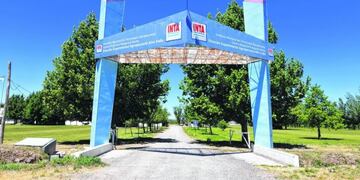 Se realizará en Cipolletti la primer plantación de cannabis medicinal