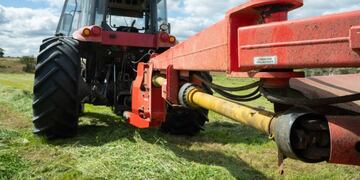 Plan forrajero (web)