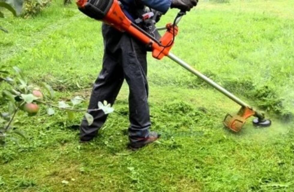 Ahora, los reclamos por malezas se harán ante el Área de Inspección Municipal