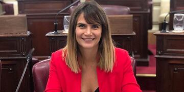 La diputada provincial cuestionó una proyección sobre la fachada del Palacio Vasallo\u002E (@amaliagranata)