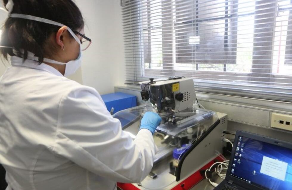 Se resolvieron 170 delitos desde que implementaron el Registro de Huellas Genéticas