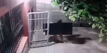 Rono a peruano en Mza