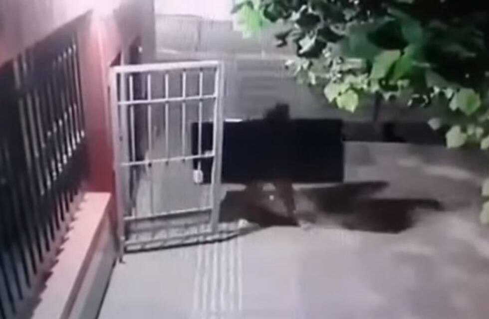 Dos chicas drogaron a un amante y lo desvalijaron