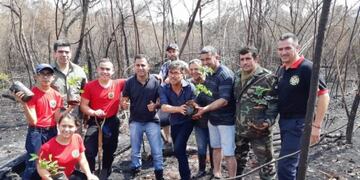 Reforestación en las 2000 Hectáreas\u002E
