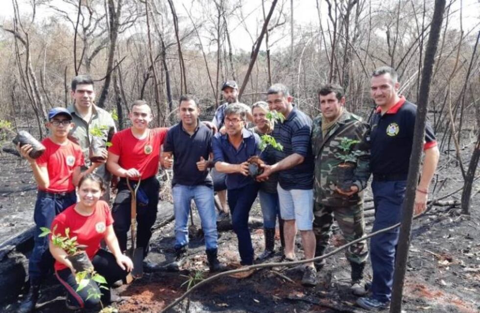 Plantaron 1.000 árboles en la zona que arrasó un incendio en Iguazú