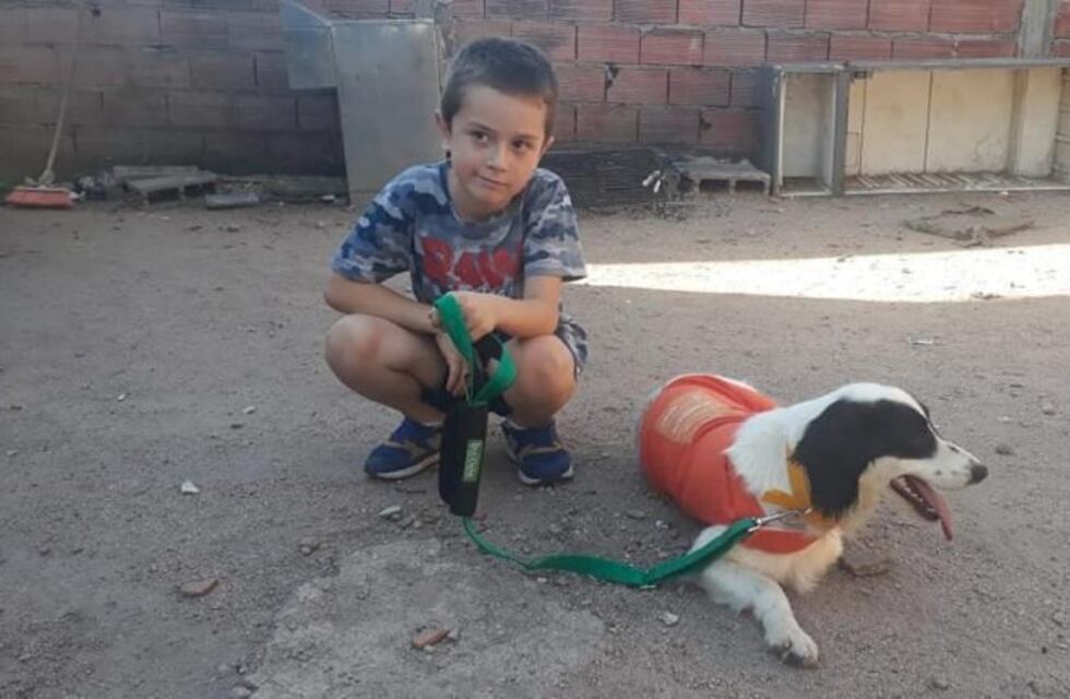 Carlos Paz: otro perrito fue adoptado gracias al "Programa Encuentros"