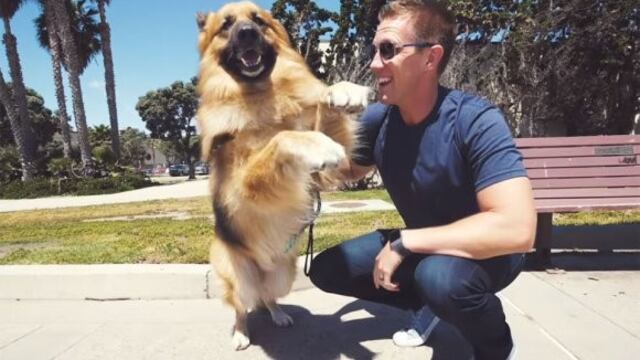 Un perro rescatado del maltrato conoció el mar y su reacción se volvió viral