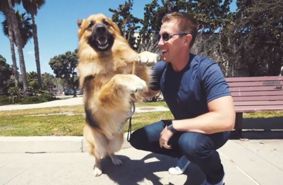 Un perro rescatado del maltrato conoció el mar y su reacción se volvió viral