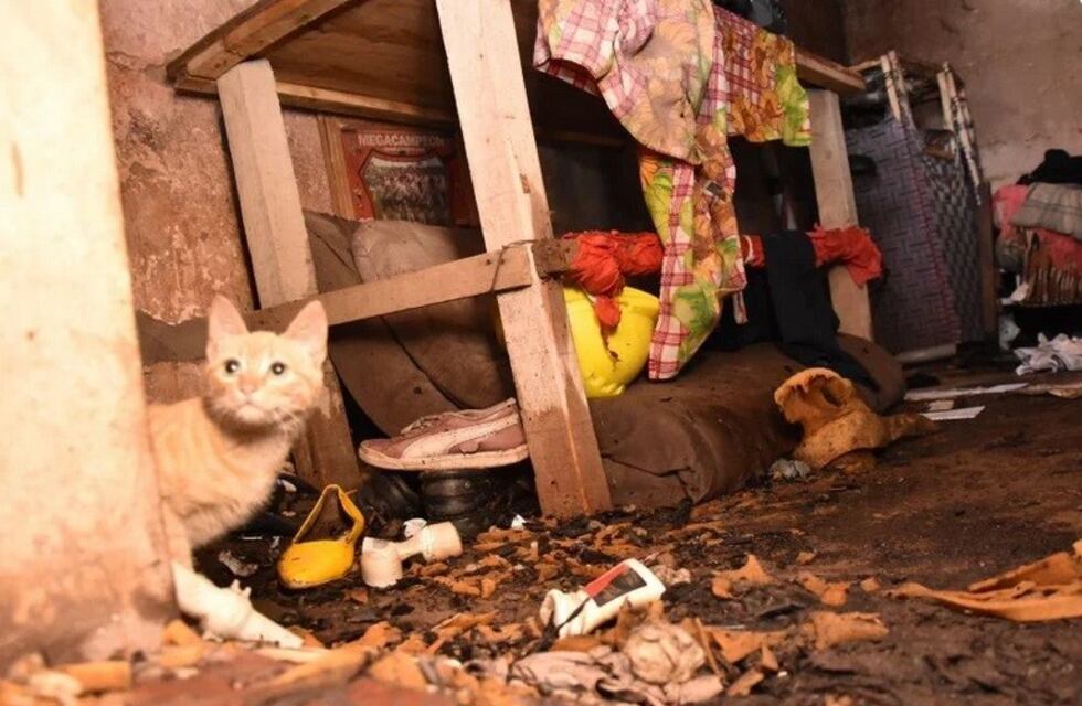 San Juan: un niño quiso quemar un gato y casi incendia toda la casa