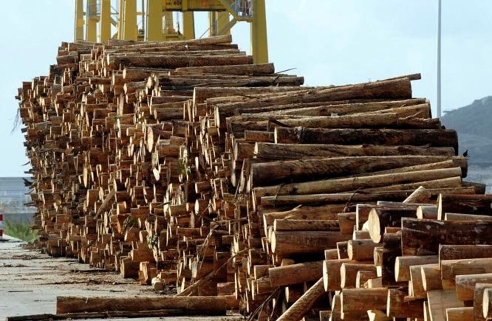 Se exportaron unas 300.000 toneladas de madera desde Entre Ríos en el último semestre