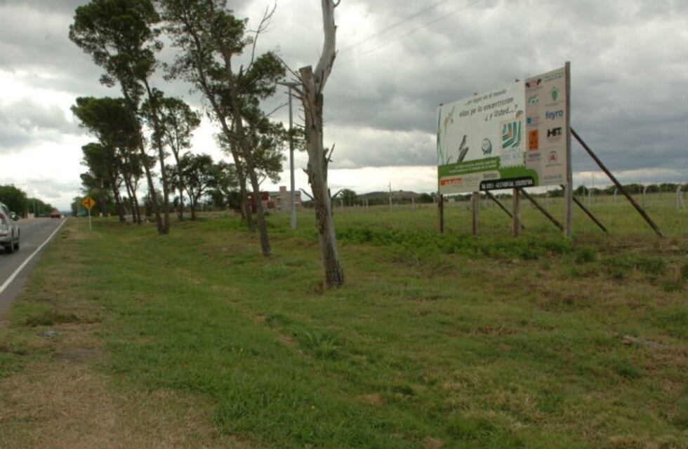 Lotes, lo único que se vende