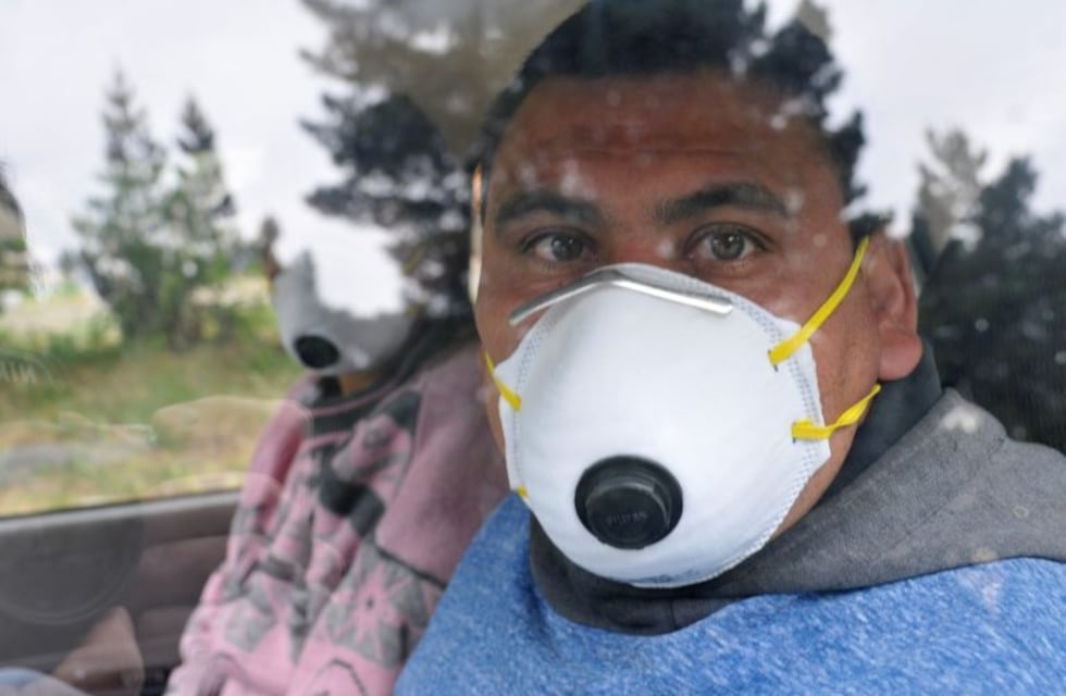 Hantavirus: todo lo que hay que saber para evitar el contagio