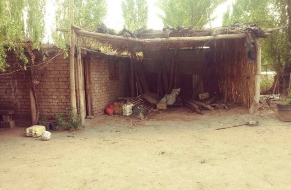 Gendarmería rescató a once personas explotadas laboralmente en Tunuyán