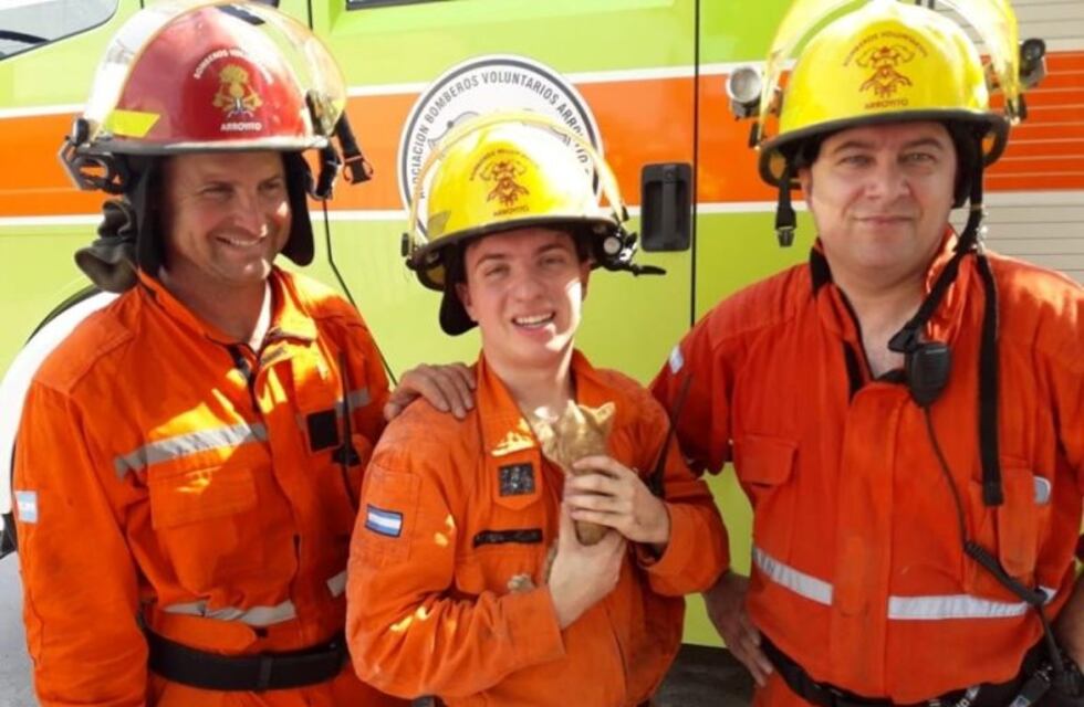 Bomberos Voluntarios de Arroyito rescataron un gatito atrapado en un desagüe