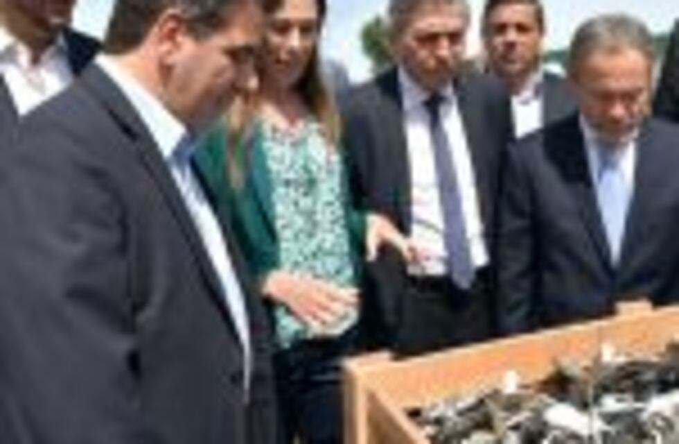 Destruyen en Campana mas 21 mil armas para sacarlas del delito