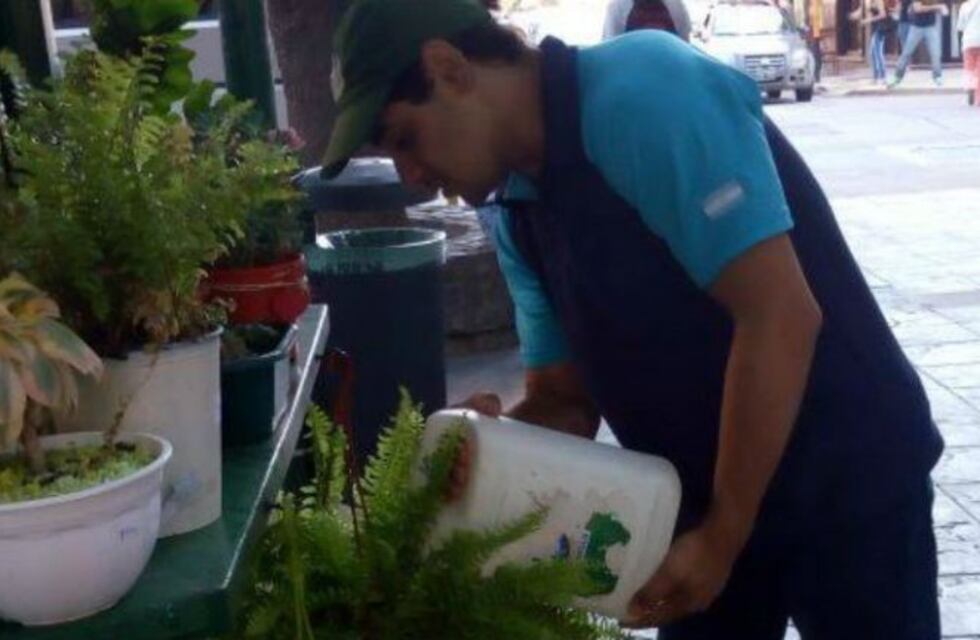 Comprá una planta y ayudá a la inserción laboral de jóvenes con discapacidad