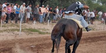 Un caballo se quebró dos patas en una carrera cuadrera en Santiago del Estero y luego fue sacrificado