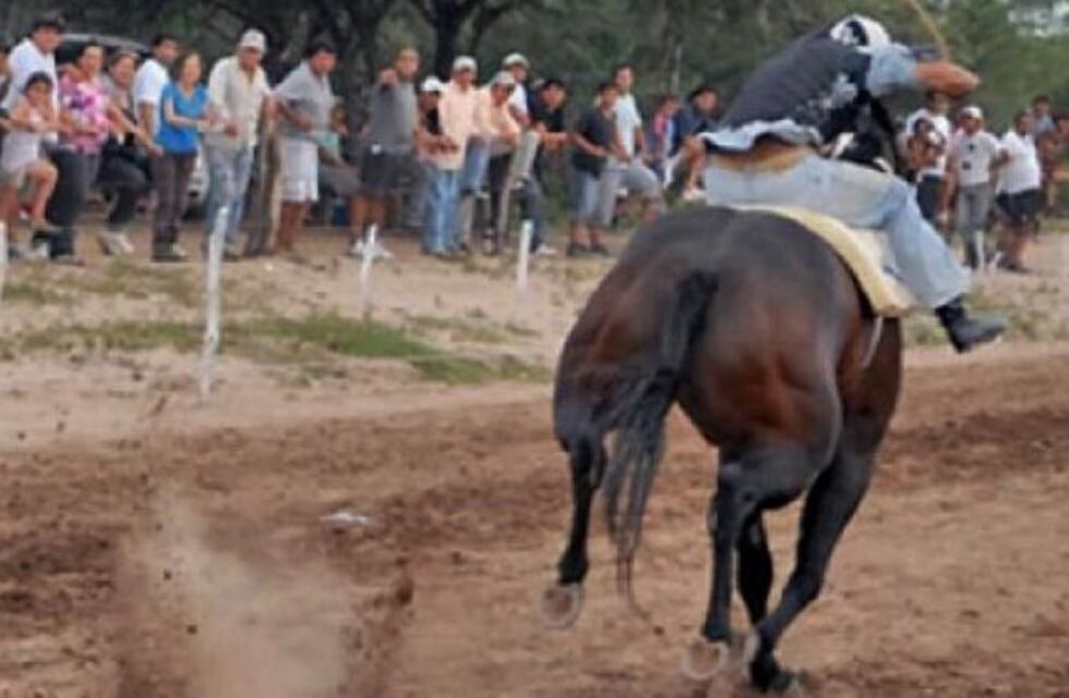Un caballo se quebró dos patas en una carrera cuadrera en Santiago del Estero y luego fue sacrificado