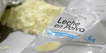 LECHE EN POLVO. Las exportaciones de este producto crecieron tanto en volumen como en dólares. (Secretaría de Agroindustria)
