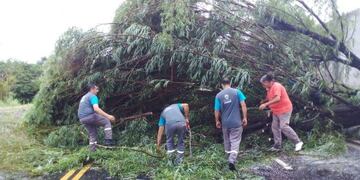 La tormenta causó estragos en Paraná.