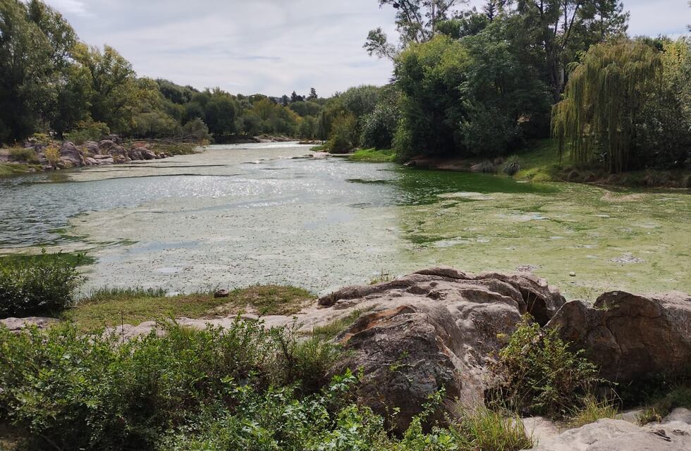 Lago San Roque: grave denuncia a la COOPI por contaminación en el río San Antonio