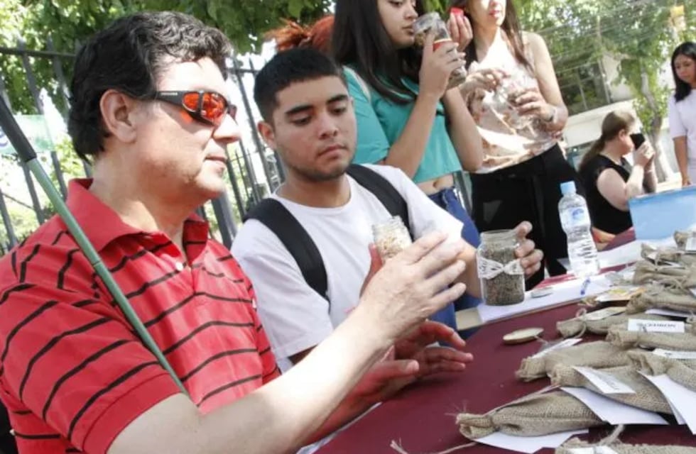 Estudiantes y emprendedores de San Juan: son no videntes y generan ingresos produciendo té de hierbas aromáticas