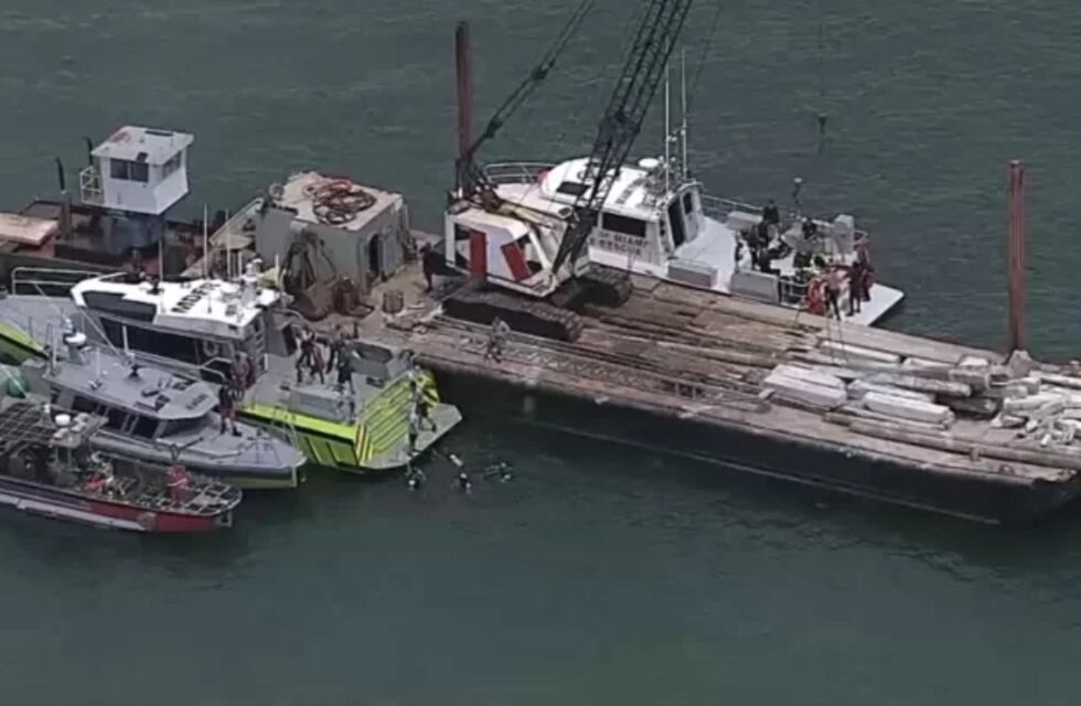 Revelaron el resultado toxicológico de los tripulantes del accidente en que murió Mila Yankelevich, nieta de Cris Morena