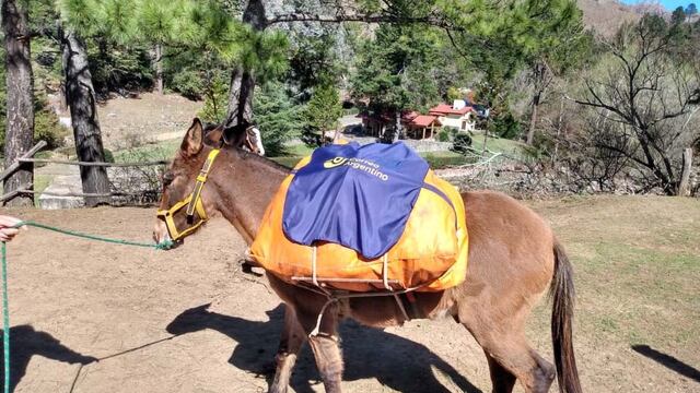 Los habitantes se preparan para votar este domingo en las PASO. (Gentileza Elio Escalante).