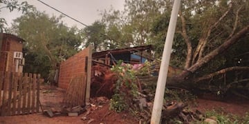 Tormenta en Iguazú dejó a una familia atrapada en su casa por la caída de arboles y cables.