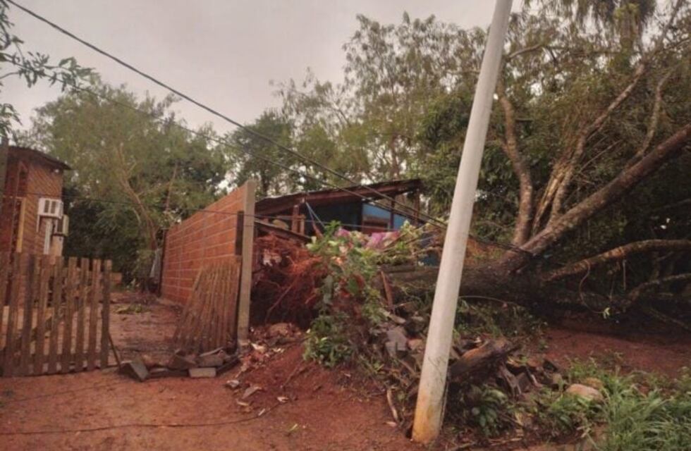 Tormenta en Iguazú dejó a una familia atrapada en su casa por la caída de arboles y cables