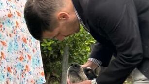 Leo Viotti presentó sus propuestas sobre sanidad animal