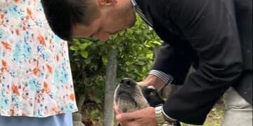 Leo Viotti presentó sus propuestas sobre sanidad animal