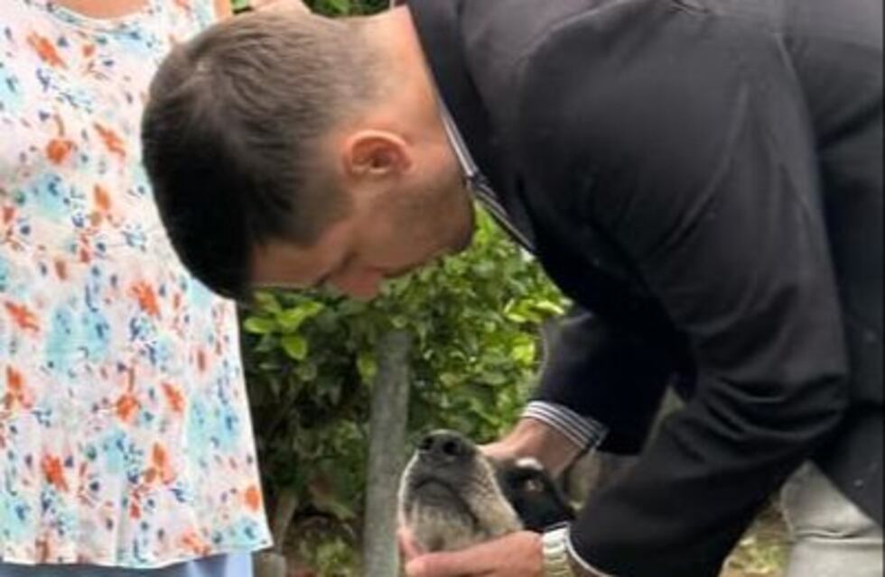 “La sanidad animal será abordada desde la prevención y acciones de control”