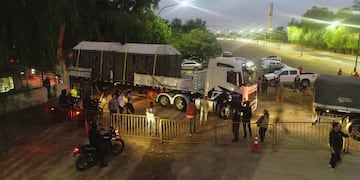 Viajan rumbo al santuario en Brasil las elefantas Pocha y Guillermina.