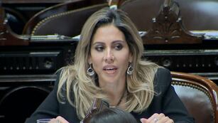 La economista rosarina habló este martes a la madrugada en la Cámara baja.