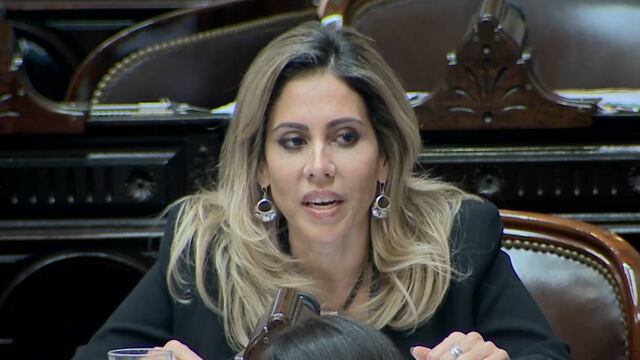La economista rosarina habló este martes a la madrugada en la Cámara baja.