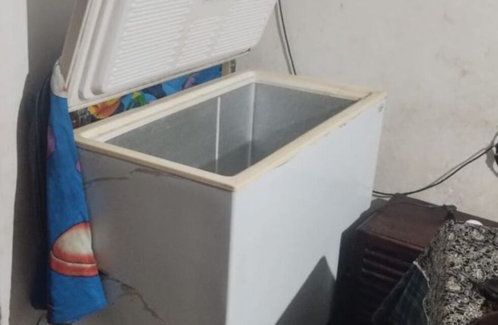 Niño encontrado sin vida en un freezer en Córdoba: qué dicen los estudios complementarios