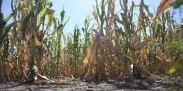 Declara la Emergencia agropecuaria en Entre Ríos