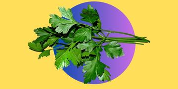 Fácil y con solo 2 elementos: así es el ritual del perejil para atraer riqueza al hogar.