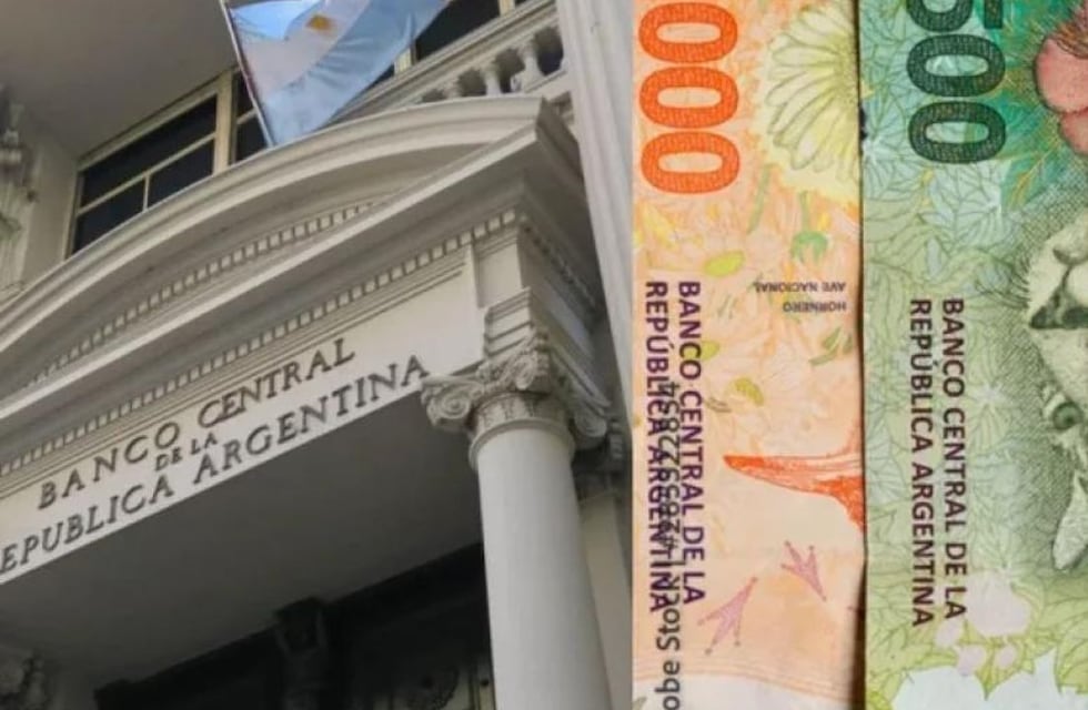 Cuándo van a entrar en circulación los nuevos billetes de $10.000 y $20.000