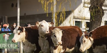 Volvió la Expo Rural después de dos años.