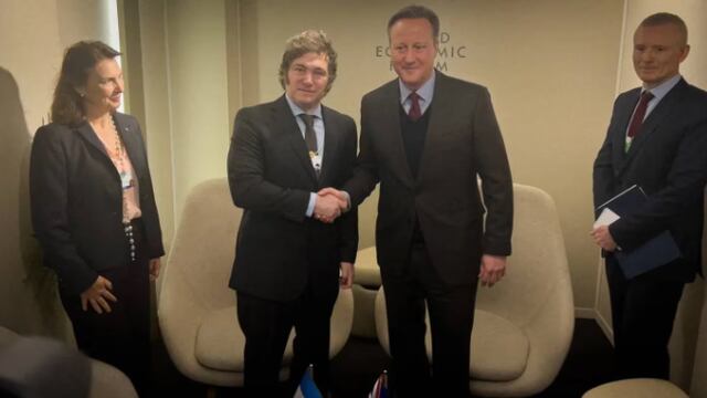 El presidente Javier Milei junto al canciller británico David Cameron en Davos.