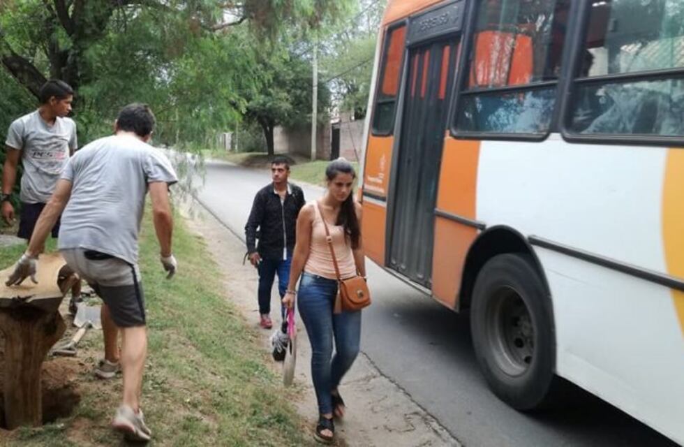Cansados de esperar el colectivo, se hicieron bancos