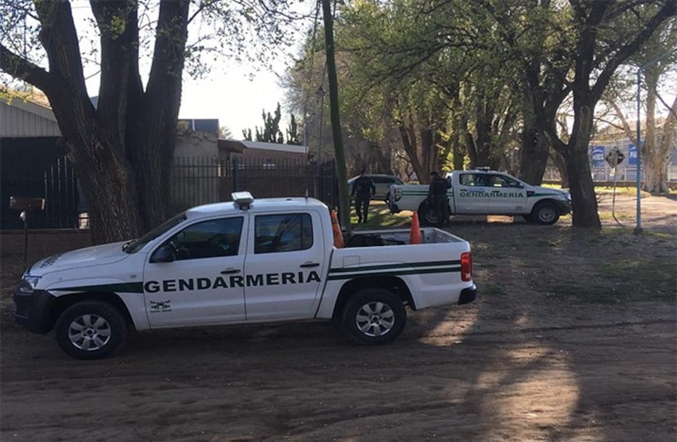 Golpe al narcotráfico: 65 allanamientos con secuestro de drogas y detenidos