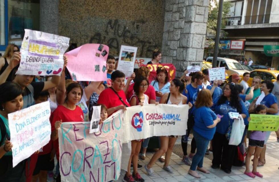 Marchan en Córdoba contra la pirotecnia en las fiestas