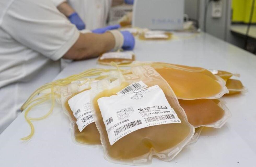 Coronavirus: pacientes tratados con plasma muestran mejorías en Córdoba