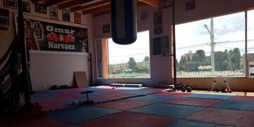 Robaron dos perros del boxeador Omar Narváez\u002E