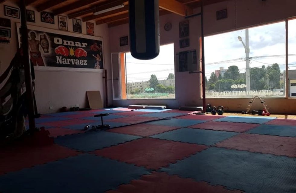 Asaltaron el gimnasio de Omar Narváez y se llevaron dos perros